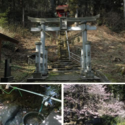 水神社・水神龍桜