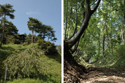 旧羽前街道保存地区・四方峠