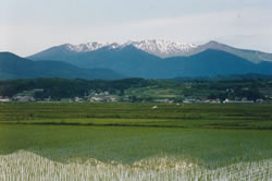 みやぎ蔵王三十六景『円田水田』