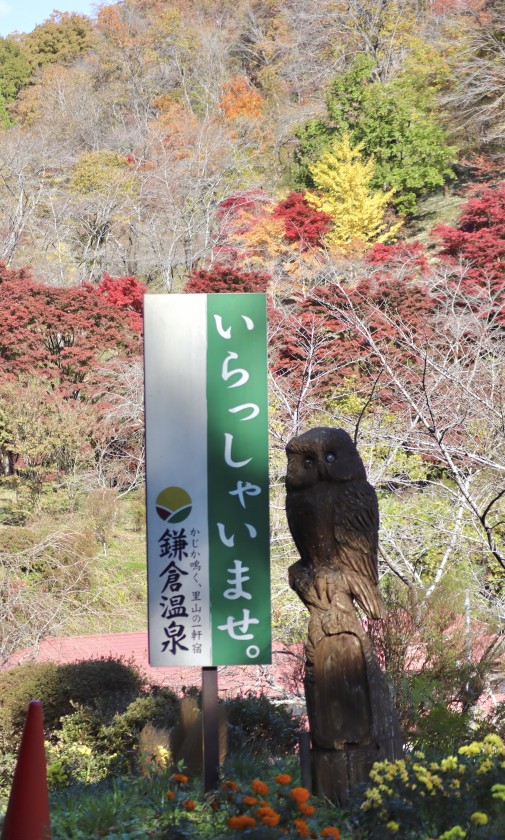 8B697CA7-693B-499D-93FF-0E2CFF957C4A