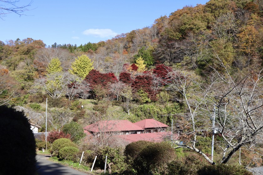 8B15DE22-F547-475C-A836-BE05CC7DC4BD