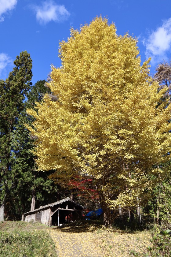 4EF21AD9-2196-499D-B1A6-9EB78596C84D