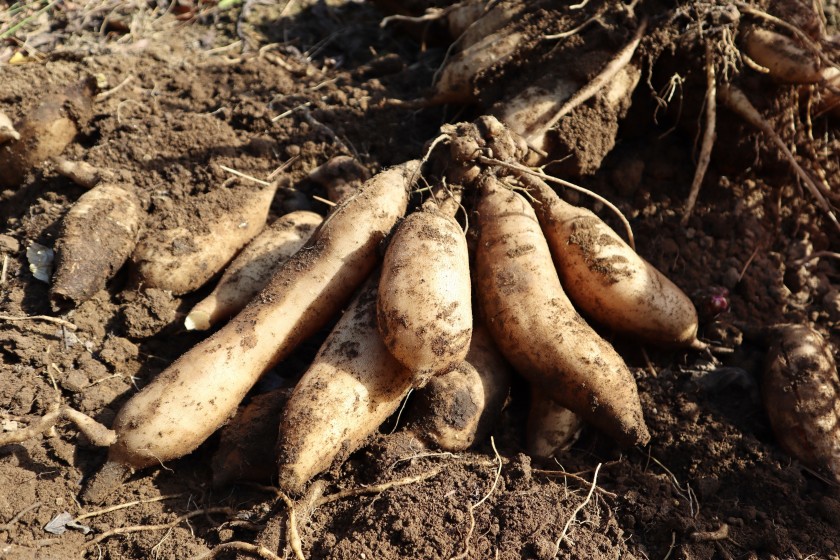 B17FC3ED-715B-427A-8D6F-97F85E422FD2