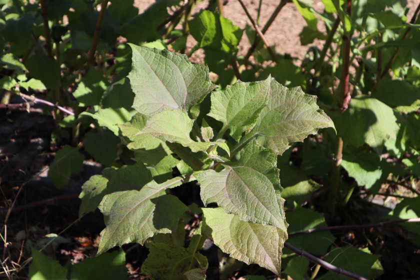 4F4742C7-3DE4-4DE9-9980-CFF6306C85FA