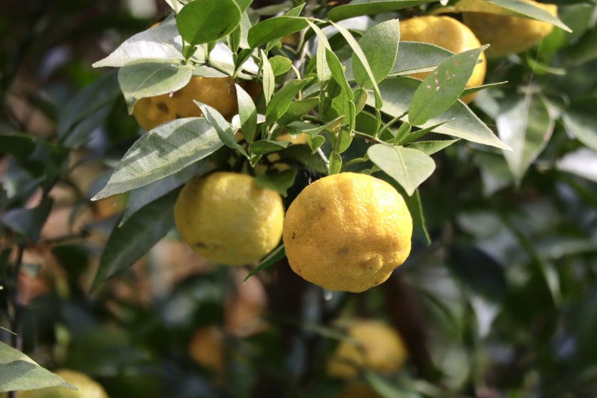 871F9D08-5802-4151-8522-9189C71FC327