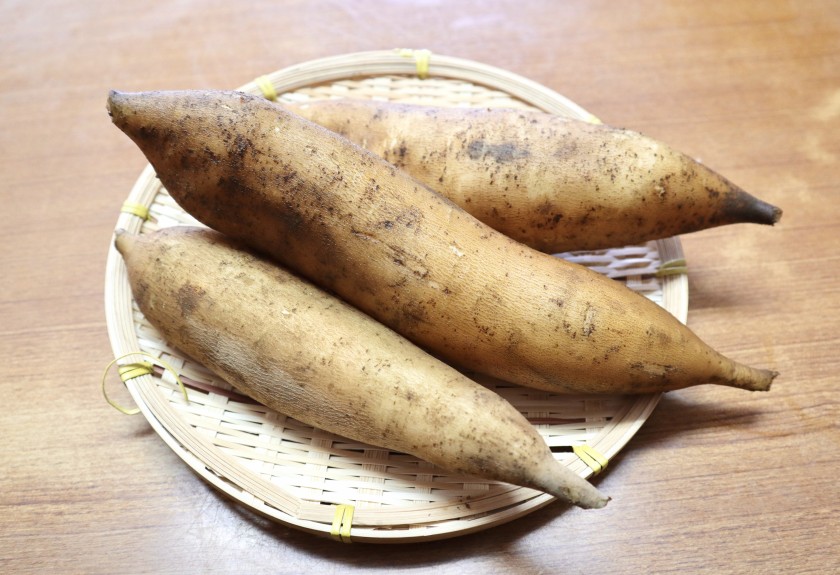 C62FBC81-09C5-4D71-9F54-E306FAB01519