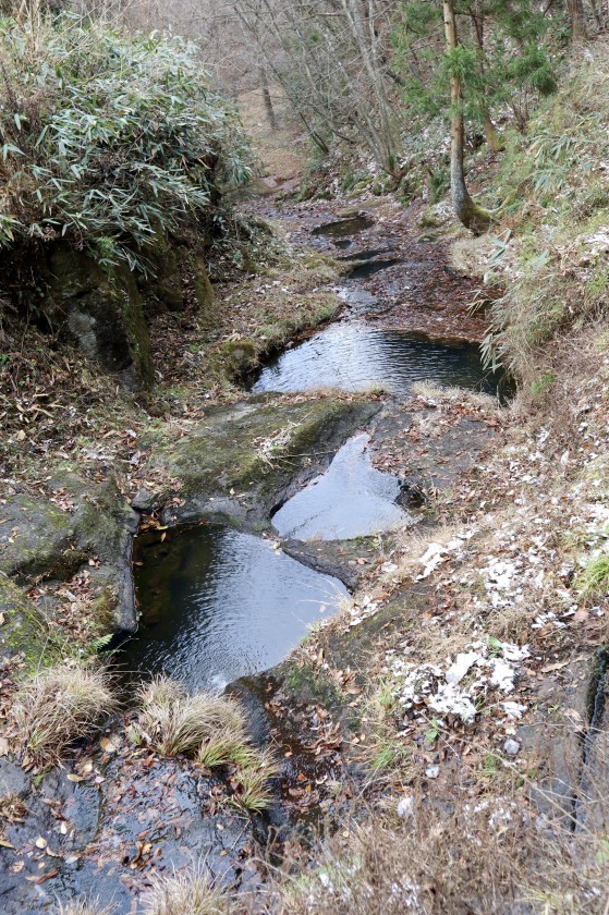 6823721F-7E13-4A1A-8329-8EE9D6F17F3A