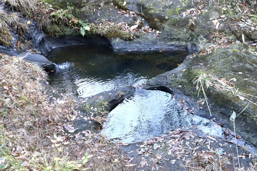 B7BE5CEF-9669-4629-8963-2172FE108308