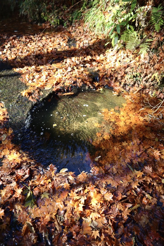 4A4DF36A-7C41-45E6-9B53-D3BA87672487