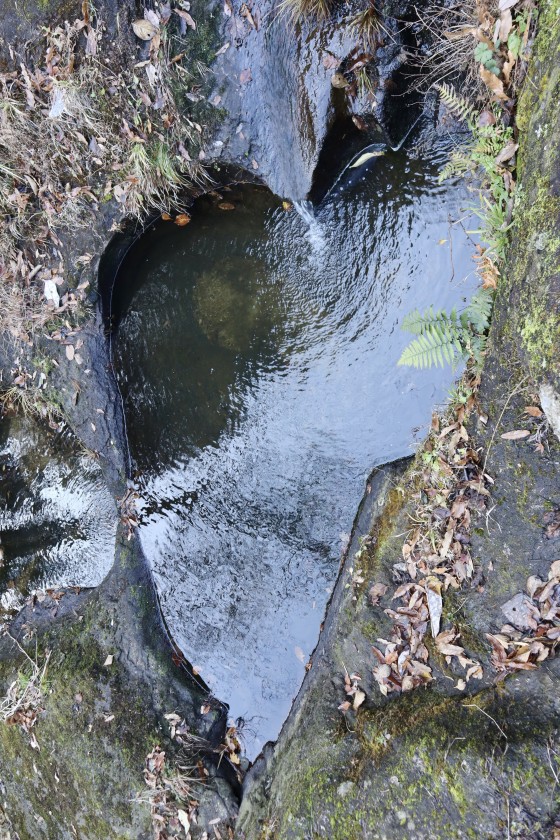 991D87F2-6656-4888-A9B2-B06BD1257BCA