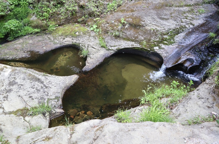 82864459-D485-4353-AA0F-60DF290E77B8