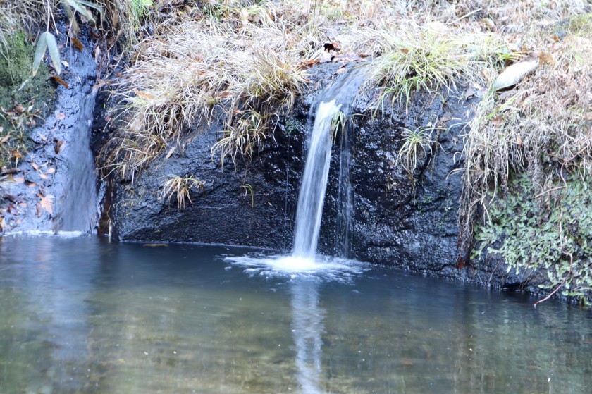 ED7E8A66-AD8A-453B-A2ED-C454F7E1AF5A