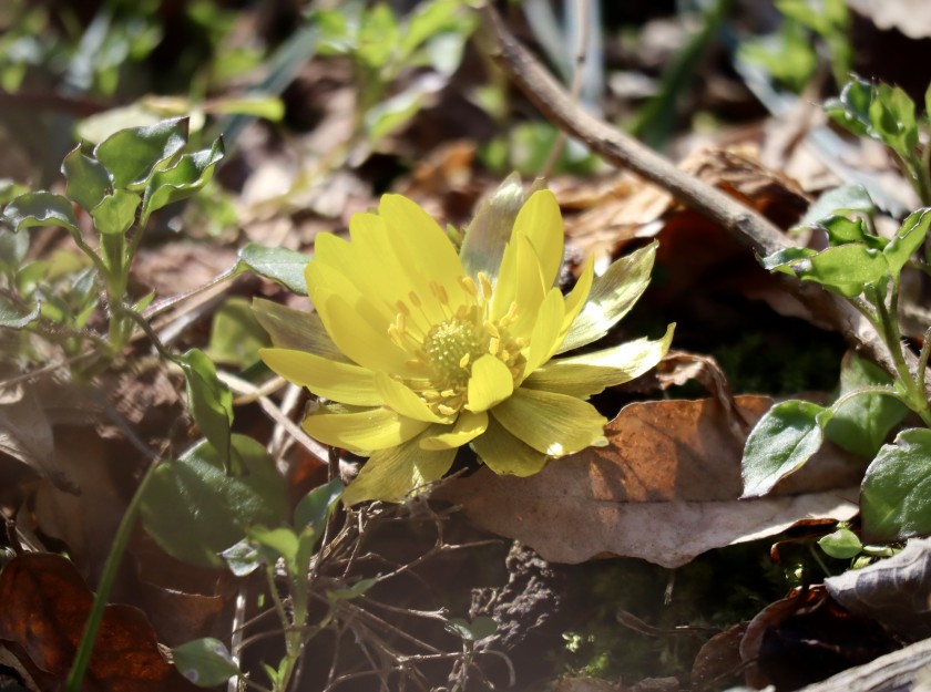 5678AE89-F693-44AD-ACA9-E772B78A40E2