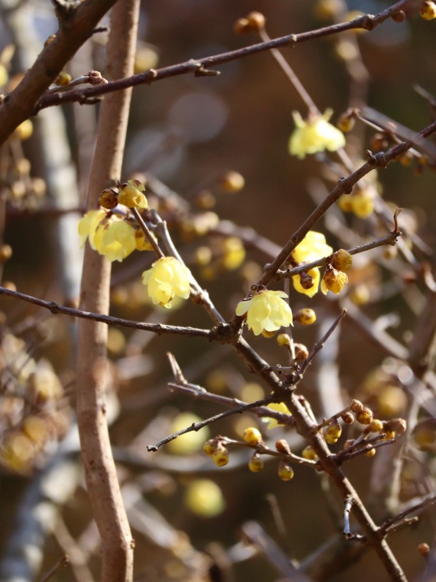 B3B99049-0977-43FC-8729-8E8BF5853A28