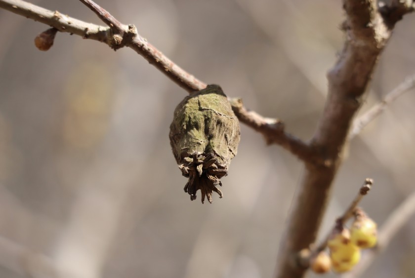 AB9D1943-C81E-4A59-BA3E-19FA793AF218