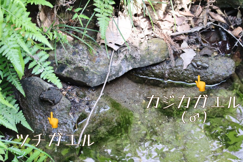 0BD86D22-684E-4F1C-A162-1738D034188C